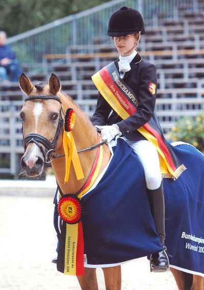 Classic Dancer I von FS Cocky Dundee| Deutscher Reitpony Hengst | Hubert Hemmelgarn