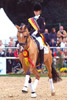 Classic Dancer I von FS Champion de Luxe x Pr Golden Dancer | 